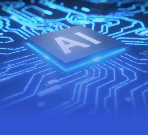 开云最新入口|排球赛事v4.6.2